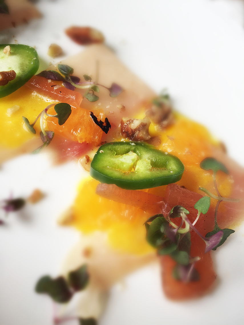 Ceviche