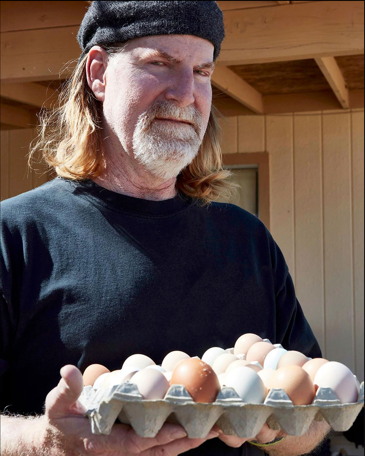Chicken-or-Egg-11s