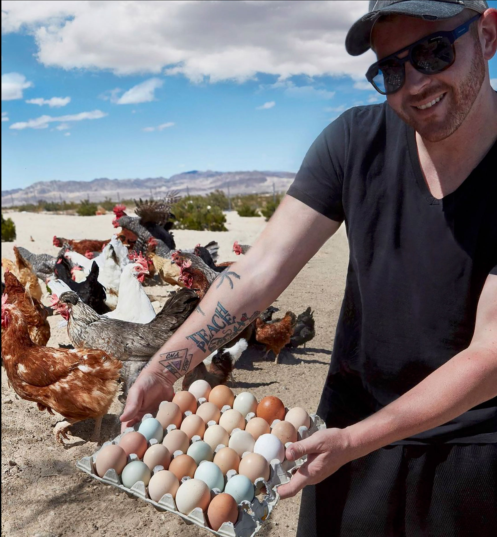 Chicken-or-Egg-12s