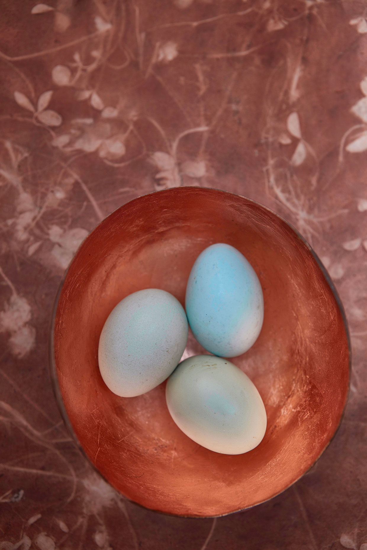 Chicken-or-Egg-16s