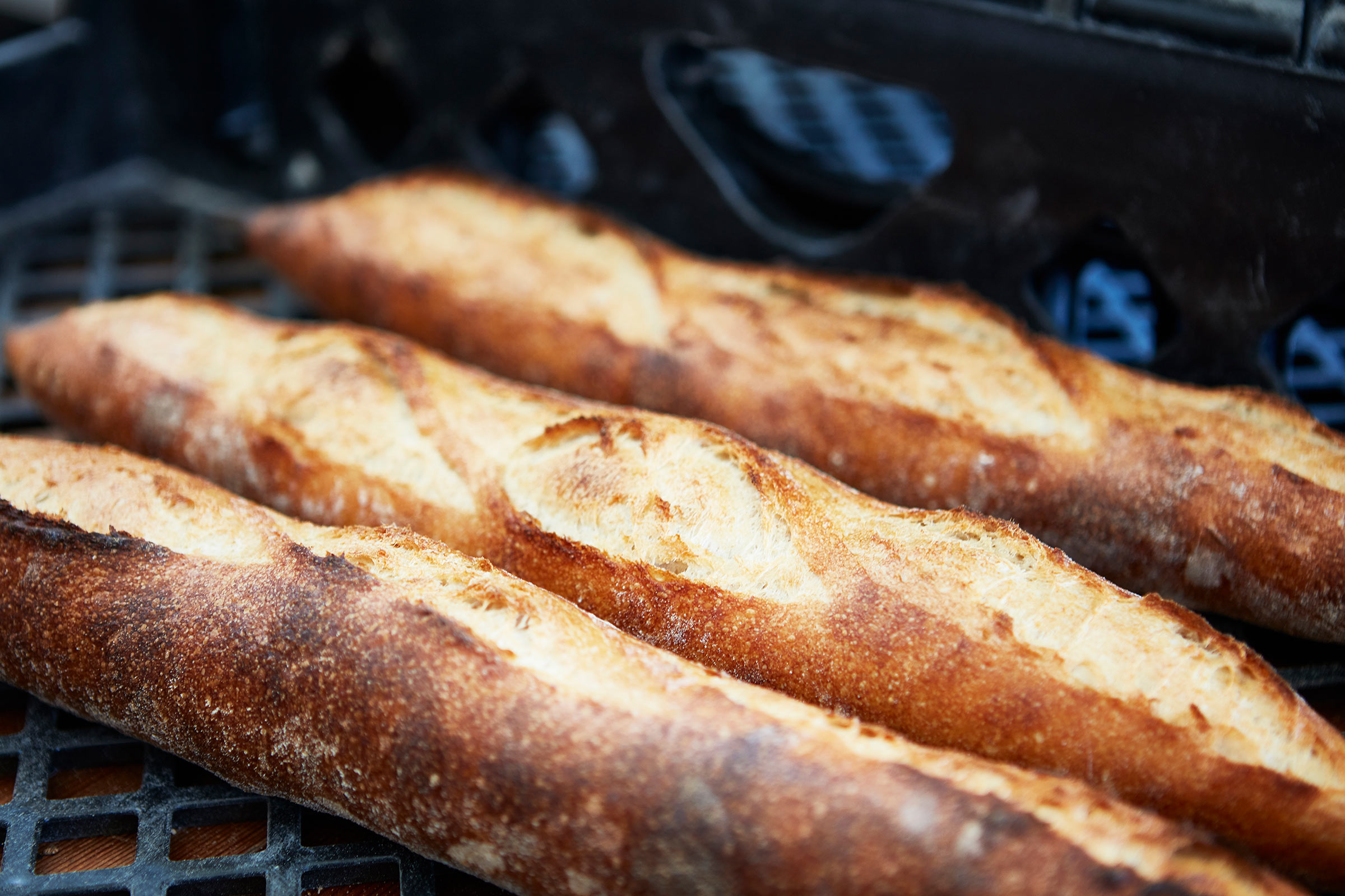 french baguette bread